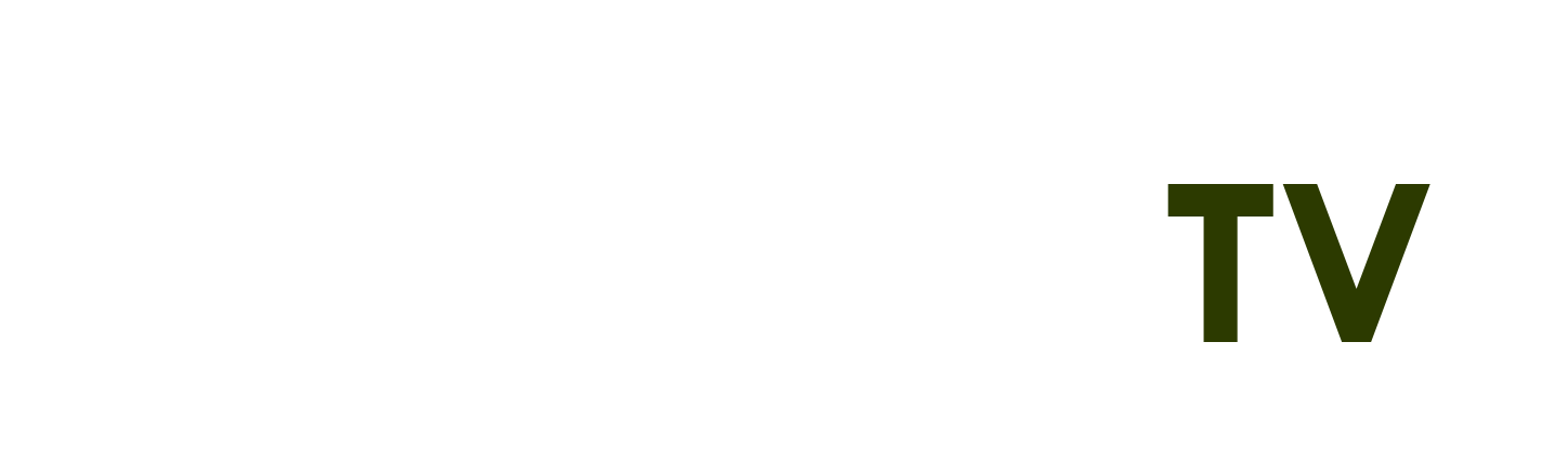 vua săn cá
